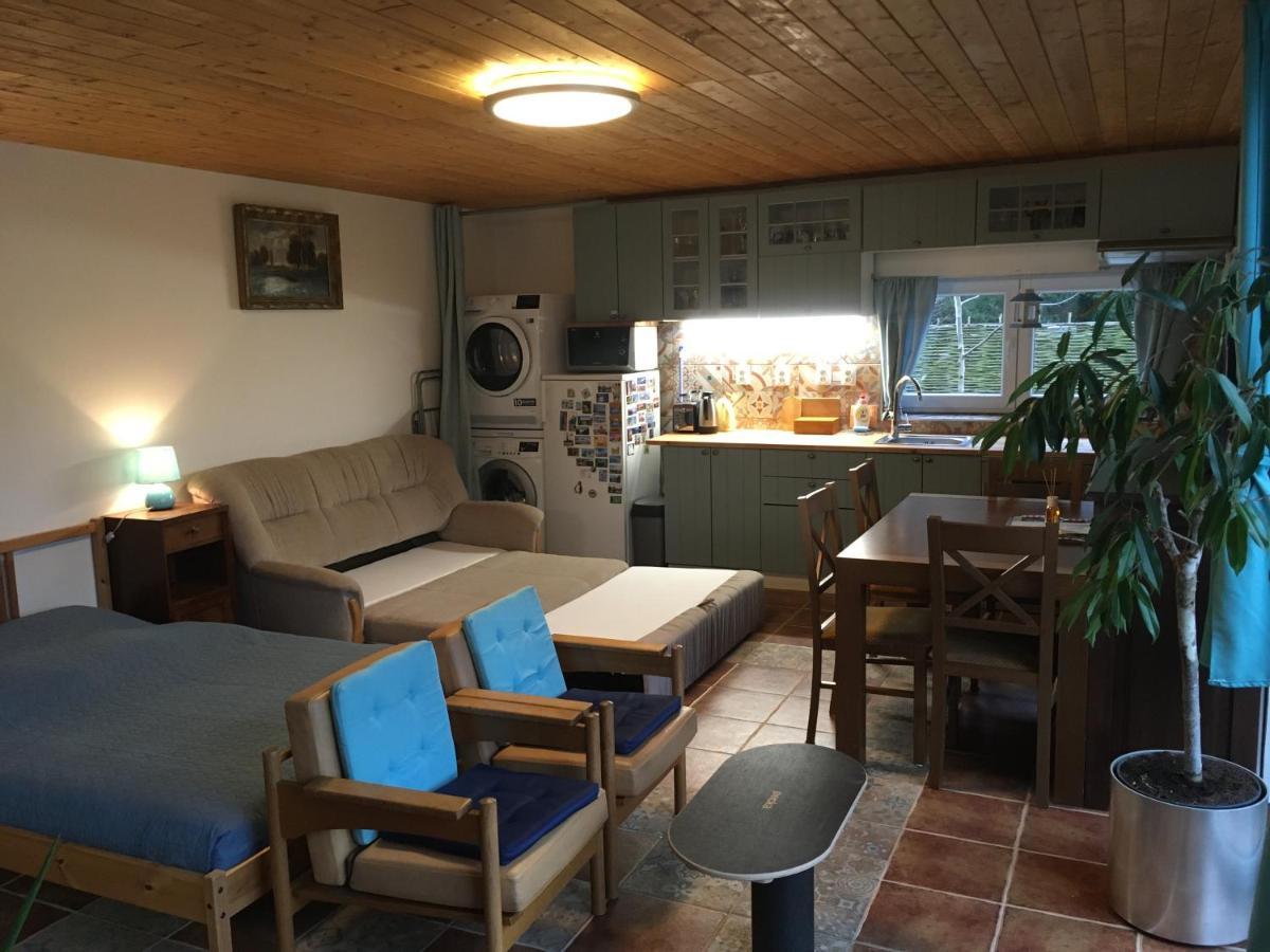 Na Vyhlidce Apartment Vrané nad Vltavou Exterior foto